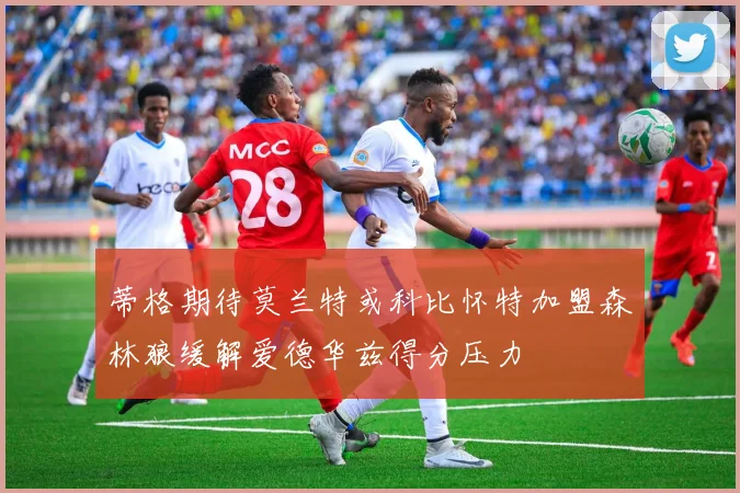 蒂格期待莫兰特或科比怀特加盟森林狼缓解爱德华兹得分压力
